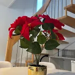 Coup De Coeur, Maison Cosy 64 M2, 10min De Strasbourg